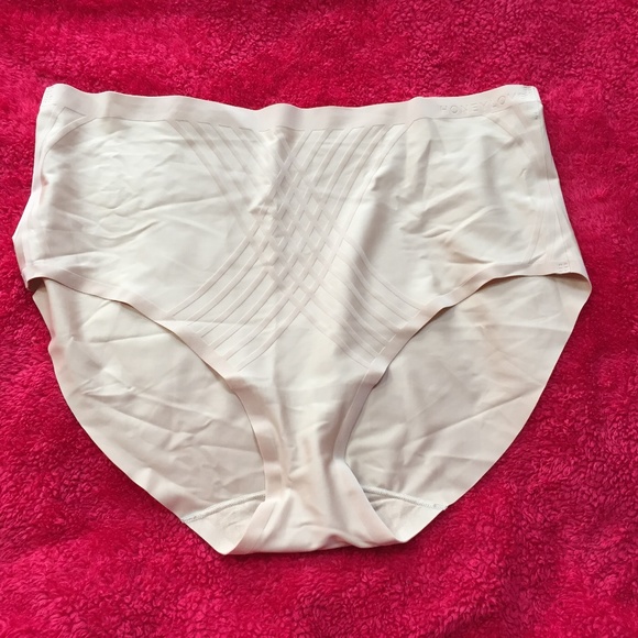 Honeylove Silhouette Briefs in “Sand”. NEW - Picture 2 of 8